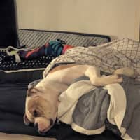 Photo of Timmy