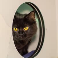 Photo of Flip
