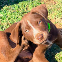 Photo of Byers
