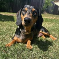 Photo of Charlie