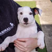 Photo of Fickelgruber