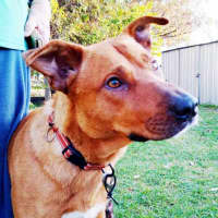 Photo of Tatanka