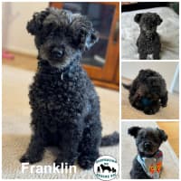 Photo of Franklin 