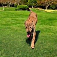 Photo of Xena
