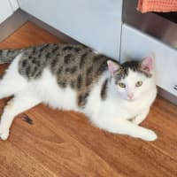 Photo of Bali & Roux