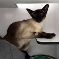 Photo of Stanley Sta013508