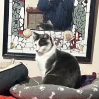 Photo of Cookie Mumma