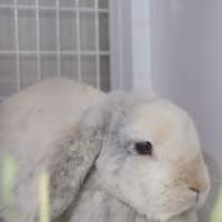 Photo of Harlow & Quinn