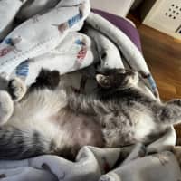 Photo of Gracie