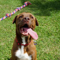 Photo of Wally