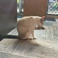 Photo of Ralphie♥️