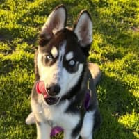 Photo of Moonie