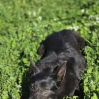 Photo of Matilda