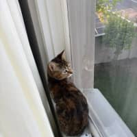 Photo of Kiko