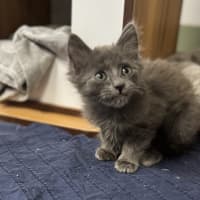 Photo of Wiggles 