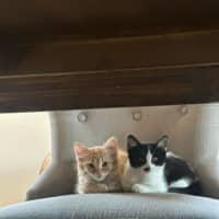 Photo of Candy