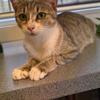 Photo of Twix