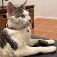 Photo of Molly