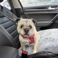 Photo of Molly Wensleydale