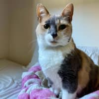 Photo of Katie