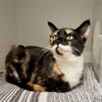 Photo of Holly