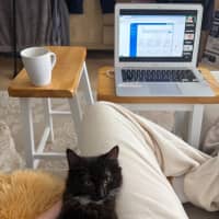 Photo of Buttons