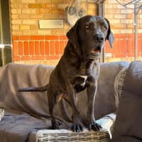 Photo of Polly