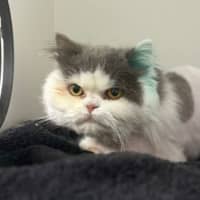 Photo of Valentina