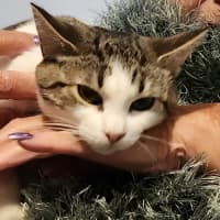 Photo of Tilly