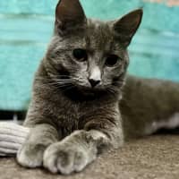 Photo of Valerie 