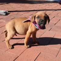 Photo of Buffy
