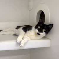 Photo of Coco