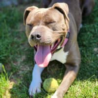 Photo of 🍧 Sassy 6524 🍧