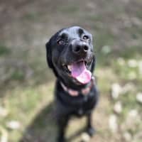 Photo of Emery