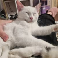 Photo of Finnick 💙