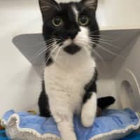 Photo of Lucy Mew