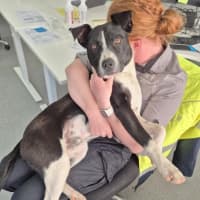 Photo of Kenny! 🤍🖤