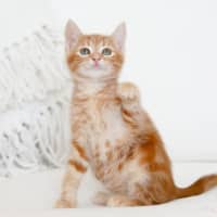 Photo of Milton