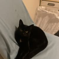 Photo of Salem
