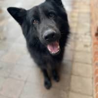 Photo of Archie 💘