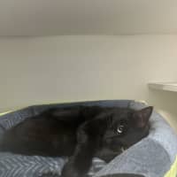 Photo of Count Scratchula