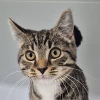 Photo of Claude