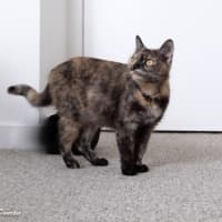 Photo of Roxie