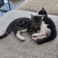 Photo of Harold & Gunther