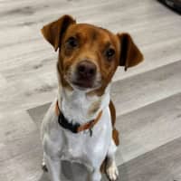Photo of Simon
