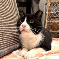 Photo of Gatsby 🌟