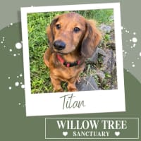 Photo of Titan