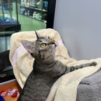 Photo of Abby