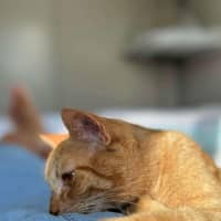 Photo of Sploot