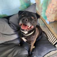 Photo of 🏈 Max 6706 🏈